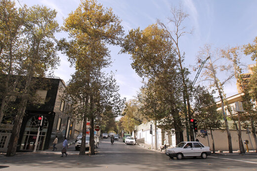 آیا در زعفرانیه، زعفران کشت می‌شد؟/ چند روایت متفاوت درباره نامگذاری محله اعیانی تهران؛ پای یک زد در میان است
