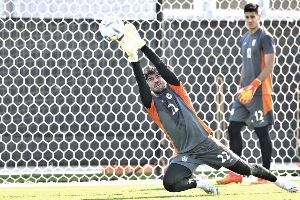 عکس | پرواز بچه عقاب مقابل ولز