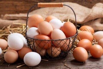 عواقب مصرف بیش از حد تخممرغ عواقب مصرف بیش از حد تخممرغ