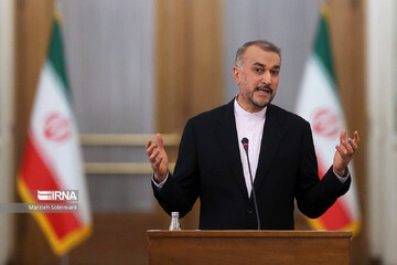 Iran FM criticizes Germany over hypocritical stances