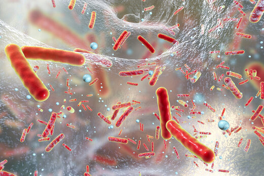 عفونت‌های باکتریایی؛ دومین عامل اصلی مرگ و میر در جهان