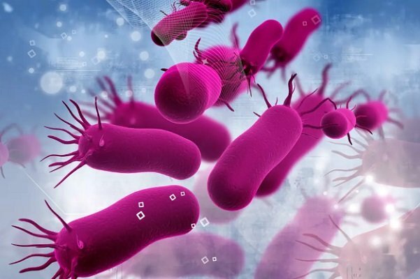 عفونت‌های باکتریایی؛ دومین عامل اصلی مرگ و میر در جهان