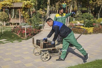 باغ گل‌های پارک شهید چمران برای مهمانی لاله‌ها آماده می‌شود
