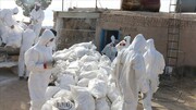 خطر آنفلوآنزای فوق حاد پرندگان در یزد
