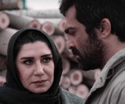 «بی‌آبان» فیلم شریفی است/ چرا اکثر فیلم‌ها در تهران ساخته می‌شوند
