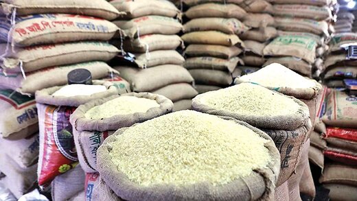 قیمت انواع برنج/ برنج شیرودی و فجر کیلویی چند؟