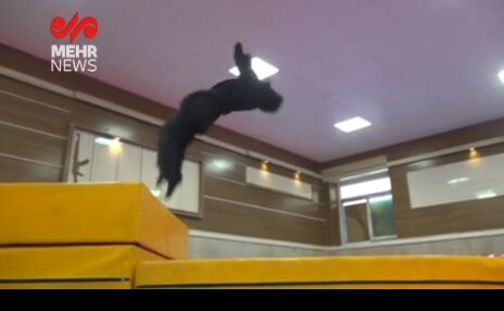 تصاویر رسانه اصولگرا از «حضور دختران نسل Z و دهه هشتادی در یگان ویژه»