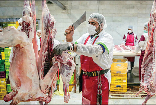  از قیمت روز گوشت گوسفندی و گوساله  مطلع شوید+جدول