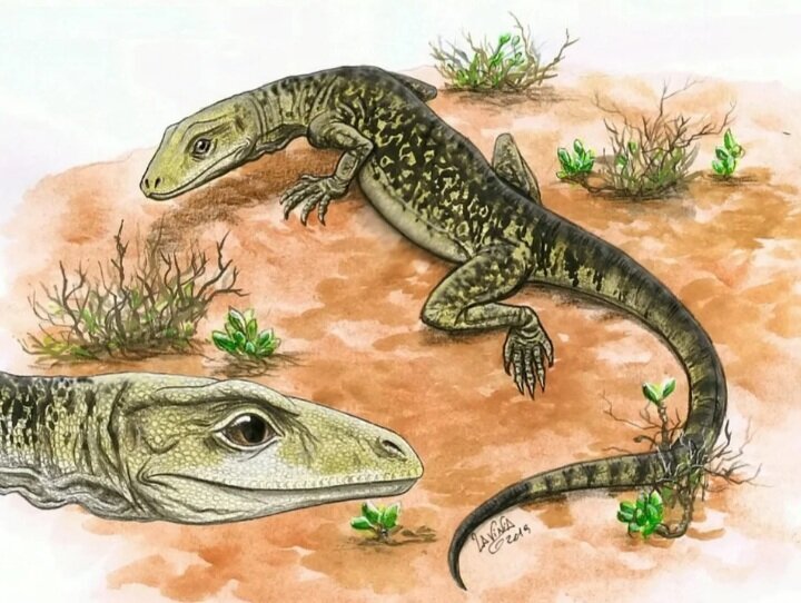 کشف شگفتانگیز فسیل یک قصاب کوچک / عکس