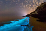 ببینید | پدیده نادر و زیبا در خلیج‌ فارس