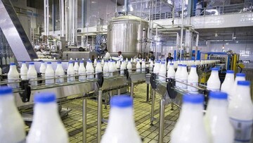 زنجیره تولید شیر با محوریت منطقه آزاد ماکو راه‌اندازی می‌شود