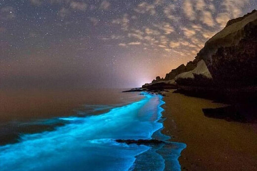 ببینید | پدیده نادر و زیبا در خلیج‌ فارس