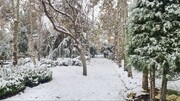 ببینید | بارش برف نسبتا شدید در شهر لندن