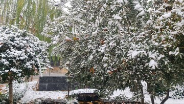 نفوذ سامانه بارشی به کشور/ بارش برف و باران در غالب نقاط نفوذ سامانه بارشی به کشور/ بارش برف و باران در غالب نقاط