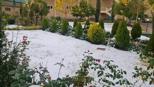 تصاویری از بارش برف و سفیدپوش شدن کرج
