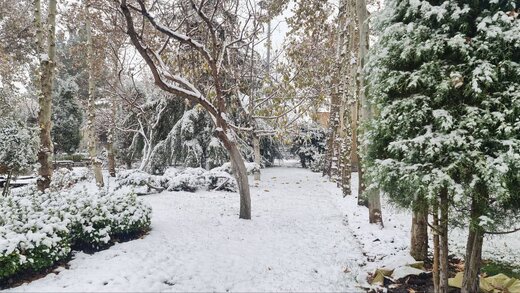 تصاویری از بارش برف و سفیدپوش شدن کرج