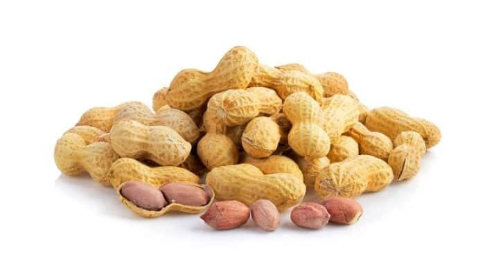 خواص فوق العاده این آجیل برای پوست و سلامتی بدن