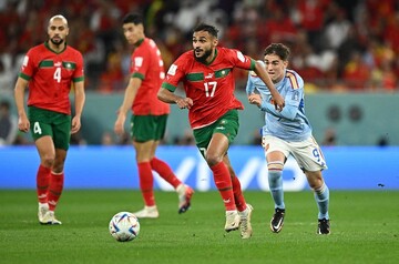 عکس | غرش شیرها در جام جهانی