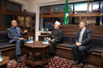 امير عبداللهيان يتحادث مع رئيس علماء المسلمين في البوسنة والهرسك