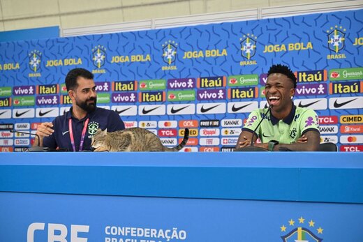 ببینید | حضور یک گربه بازیگوش در کنفرانس خبری ستاره برزیل در جام جهانی