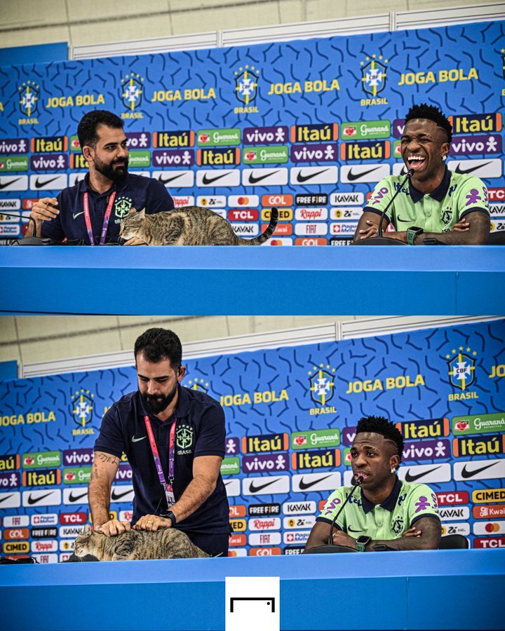 عکس| سورپرایز ستاره برزیلی با یک گربه!