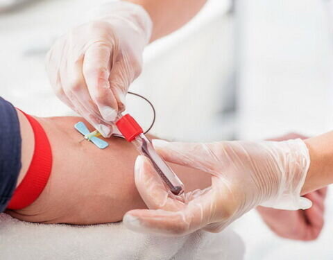 سالی چندبار می‌توانیم خون اهدا کنیم؟/ آیا خطری در اهدای خون وجود دارد؟