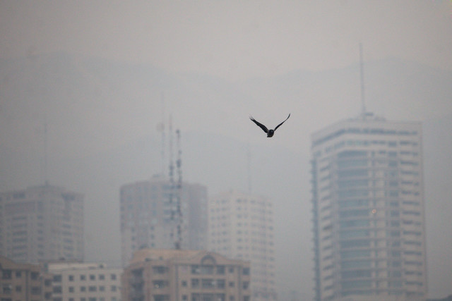 آلودگی هوا اورژانس را به سه میدان تهران کشاند