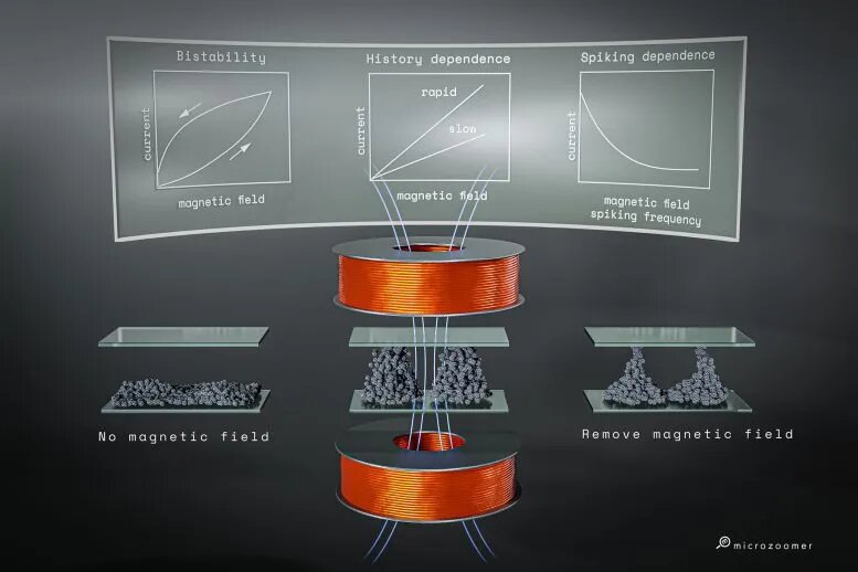 نسل جدید مواد که حافظهای چون سیستمهای زنده دارند