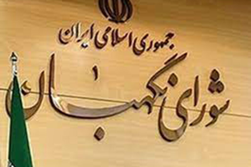 اگر مخالفان در مجلس حضور یابند میتوان امیدوار بود / رویه شورای نگهبان تعیین کننده است / خوش بین نیستم اتفاق مهمی رخ دهد 2