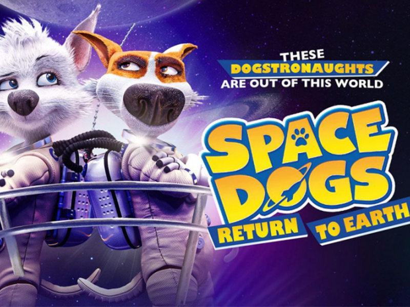 کارتونهایی که بچهها عاشق آن هستند!