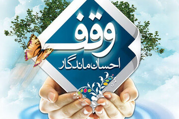 بیش از ۳۰ درصد از مراکز بهداشتی و درمانی ایران وقفی هستند