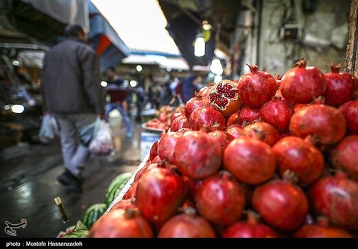 ذخیره سازی میوه برای شب یلدا / این دو میوه پرطرفدار گران نمی‌شوند