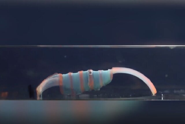 عکس | این ربات در بدن میخزد و بیماریها را درمان میکند!