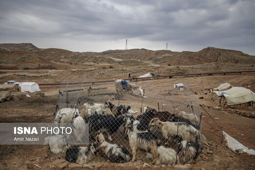 جشنواره طعم کتاب با عشایر
