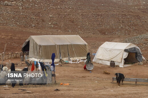 جشنواره طعم کتاب با عشایر
