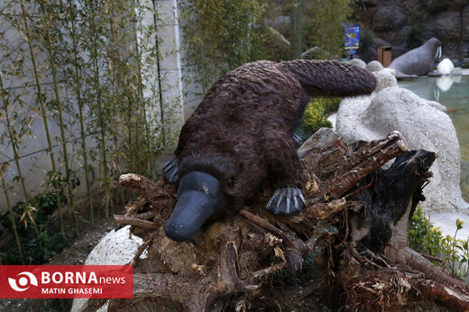 اقیانوس پارک تهران