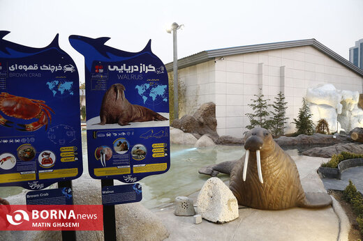 اقیانوس پارک تهران