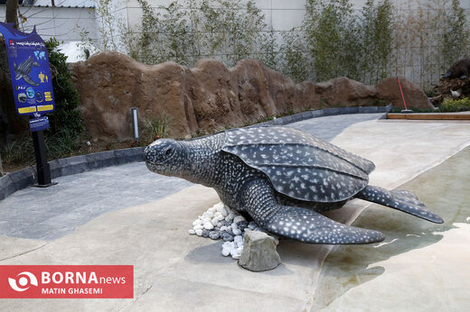 اقیانوس پارک تهران