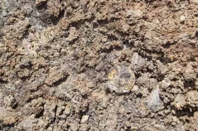 عکس| درخشش عجیب مقبره مرموزترین رهبر زن اروپا