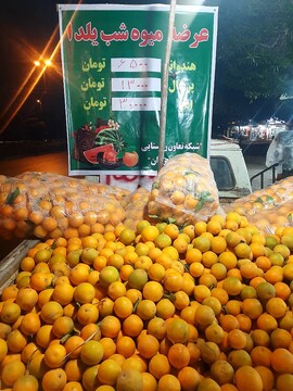 مدیر تعاون روستایی هرمزگان:مردم نگران قیمت پرتقال و هندوانه نباشند