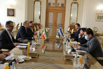 دیدار وزیران امور خارجه ایران و نیکاراگوئه در تهران
