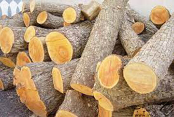  منابع طبیعی و آبخیزداری استان تهران هشدار داد