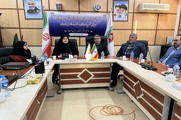 بانوان شاغل نقش تاثیرگذاری در توسعه مازندران دارند