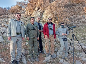 پایان سرشماری حیات وحش لرستان / وجود گونه های شاخص جانوری در مناطق حفاظت شده 