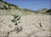 خشکسالی متوسط تا خیلی شدید طی سه سال اخیر/ کاهش ۲۰ درصدی بارش‌ها