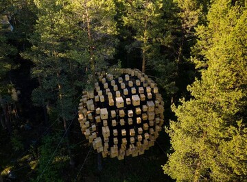 تصاویر | عجیب‌ترین هتل روی کره زمین؛ هتل درختی