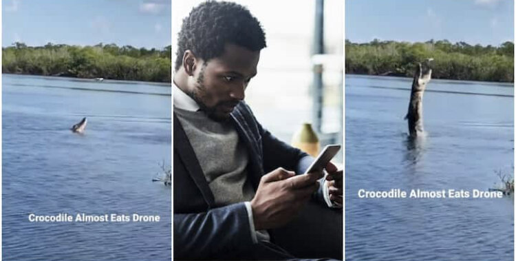 عکس | کروکودیلی که پهپاد شکار میکند!