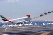 ببینید | گوزن‌های هواپیمای امارات به مناسبت کریسمس شروع به حرکت کردند