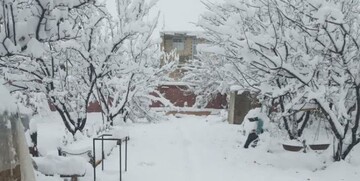 بارش برف موجب غیر حضوری شدن آموزش و پرورش در بسیاری از مدارس استان چهارمحال و بختیاری شد