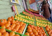 سیب و پرتقال درجه یک در راه بازار میوه شب عید / مدیریت بازار با بخش خصوصی است